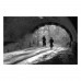 Фотопленка Agfa APX 100 – пленка 100 ISO 35 мм
