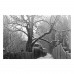 Фотопленка Agfa APX 100 – пленка 100 ISO 35 мм