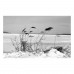 Фотоплівка Fomapan 100 – плівка 100 ISO 35 мм