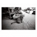Фотопленка Fomapan 200 Action – пленка 200 ISO 35 мм