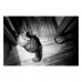 Фотопленка Fomapan 200 Action – пленка 200 ISO 35 мм