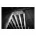 Фотопленка Fomapan 200 Action – пленка 200 ISO 35 мм