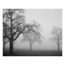 Фотопленка Ilford XP2 Super 400 – пленка 400 ISO 35 мм