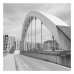 Фотопленка Kentmere PAN 100 – пленка 100 ISO 35 мм