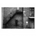 Фотопленка Rollei RPX 400 – пленка 400 ISO 35 мм